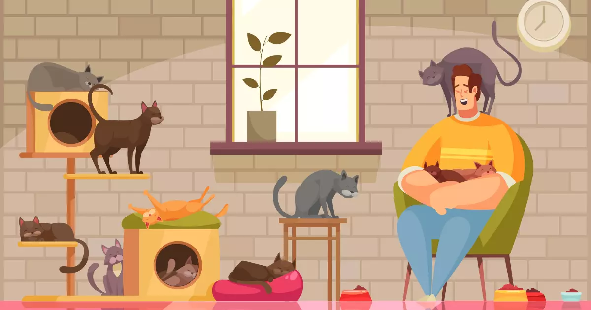 Cat Friendly: Criando um Ambiente Amigável para o seu Gato